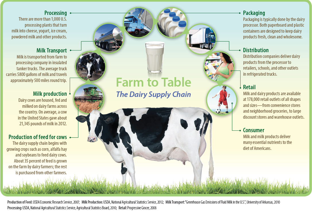 Kết quả hình ảnh cho dairy products supply chain