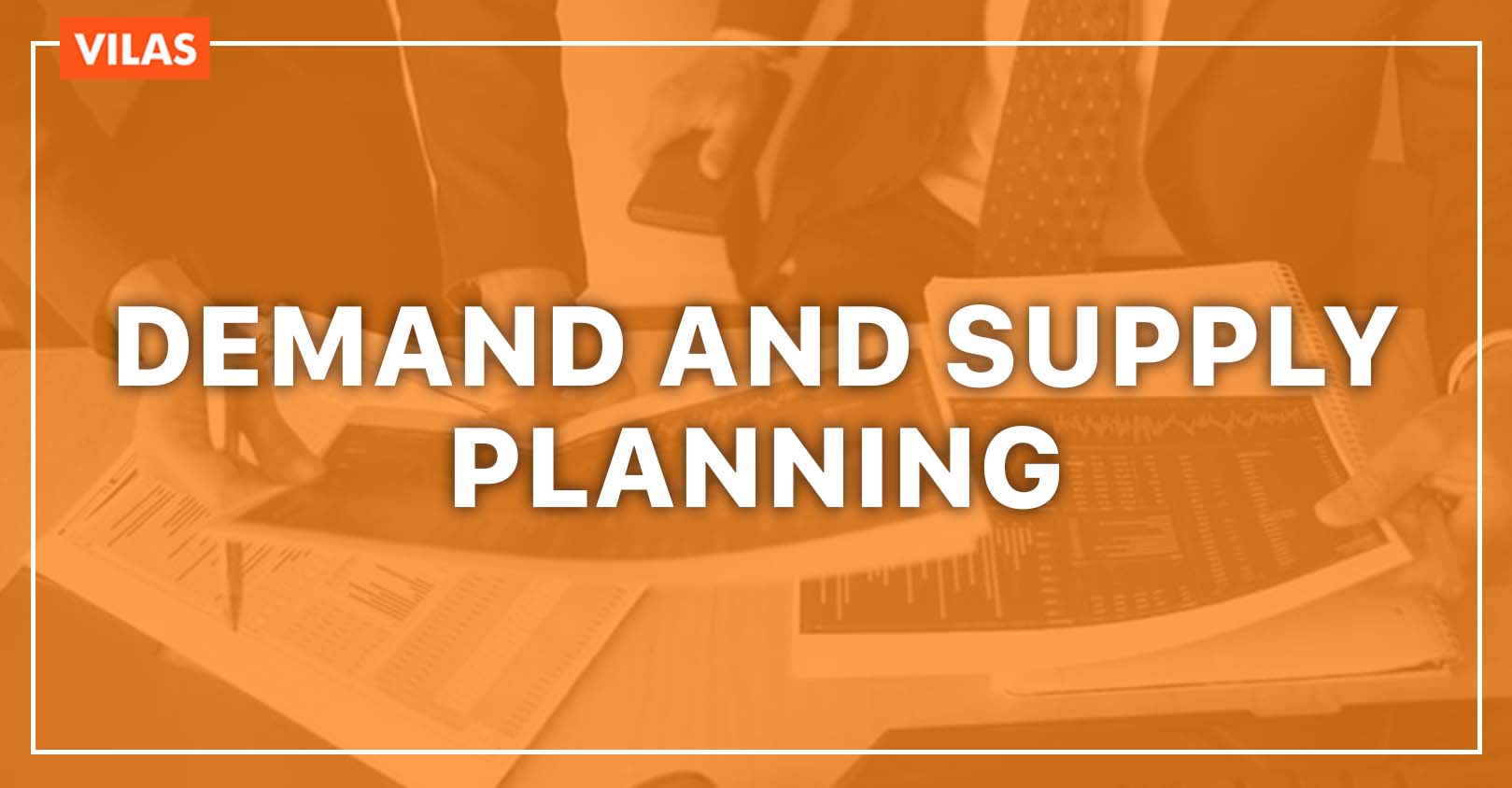 Demand & Supply Planning Course VILAS