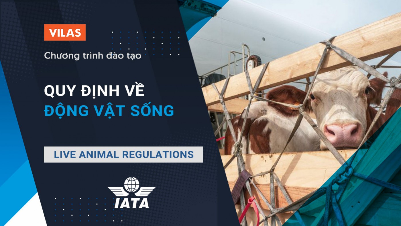 IATA Live Animal Regulations - Chương trình đào tạo IATA Quy định về động  vật sống - VILAS