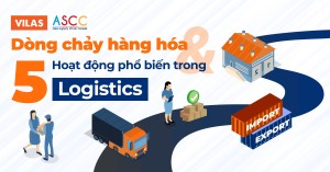 Dòng chảy hàng hóa và 5 hoạt động Logistics phổ biến